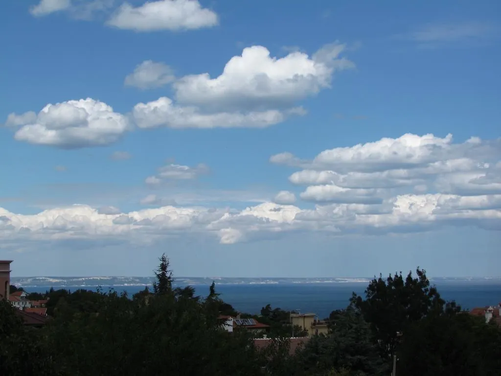 Guest House Dvata Bora Golden Sands 3*,  Bulgaria