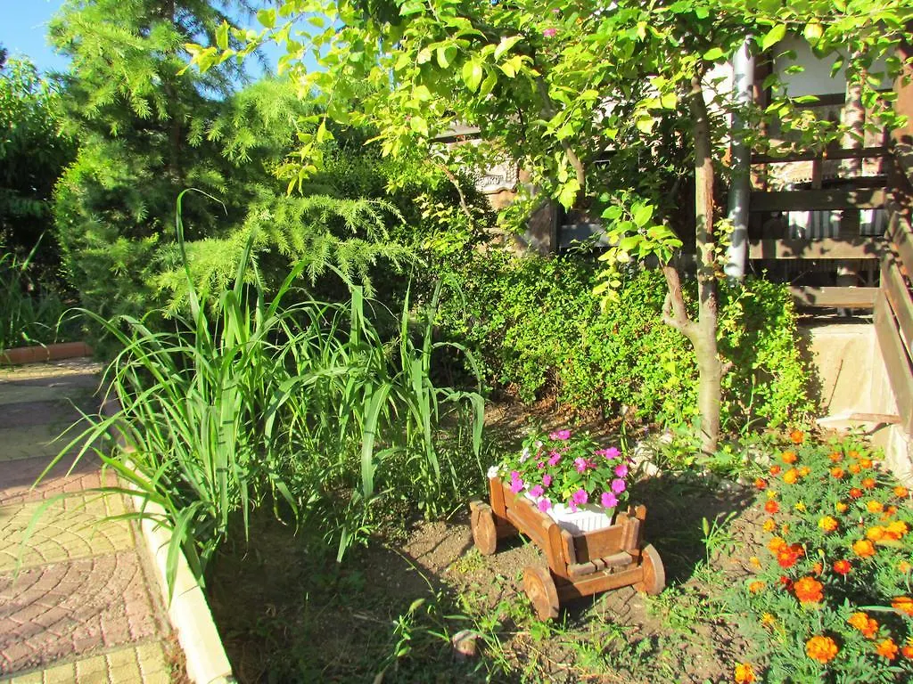 Guest House Dvata Bora Golden Sands Bulgaria